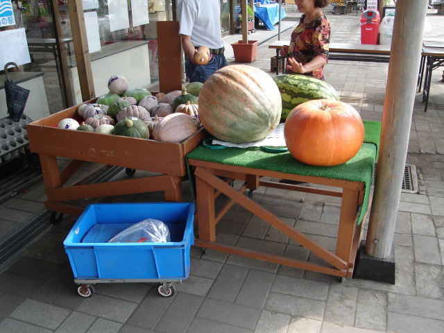 a0116205_0231499.jpg