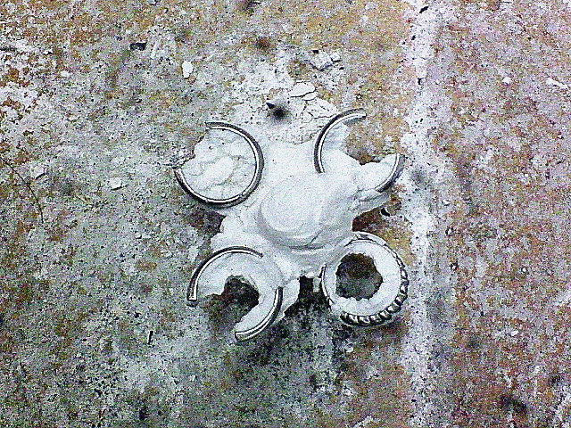 c0143106_9595867.jpg