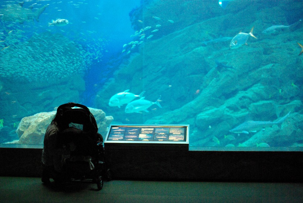 f0201607_7253959.jpg