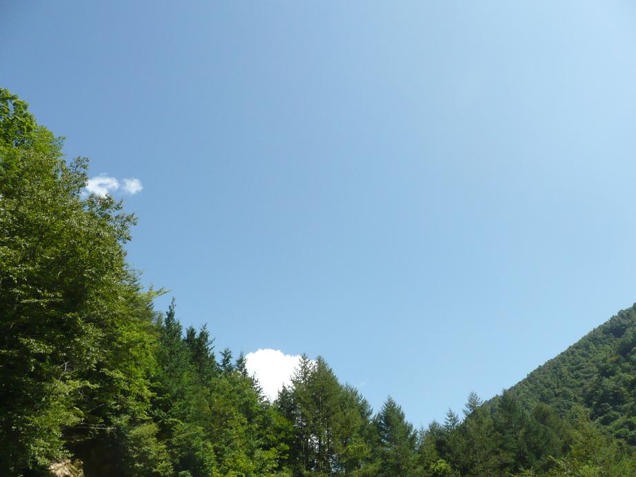d0126708_004112.jpg