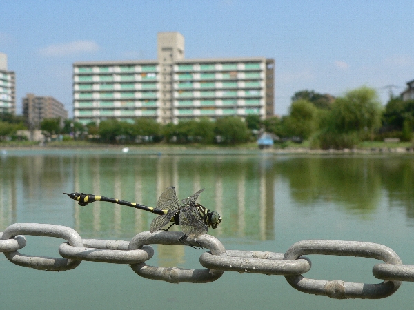 e0002314_2120145.jpg