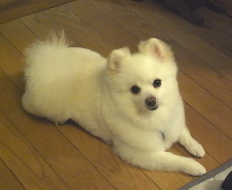 c0185516_1274329.jpg
