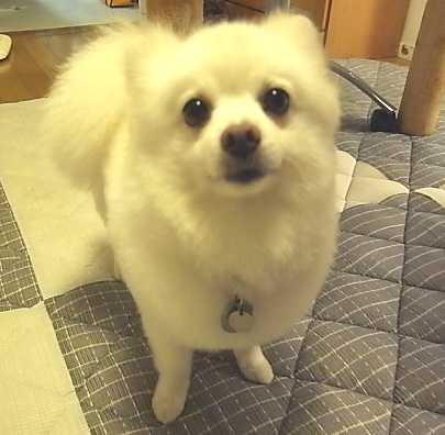 c0185516_1275676.jpg