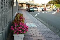 b0167519_1022294.jpg