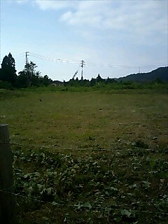 e0091220_2072994.jpg