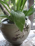 f0139520_1682137.jpg