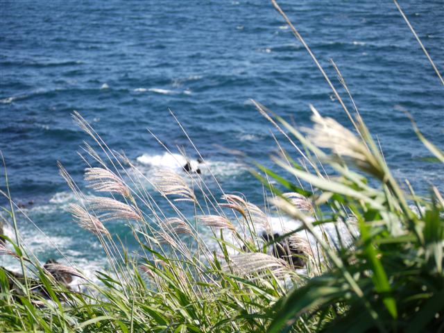 b0171523_1256130.jpg