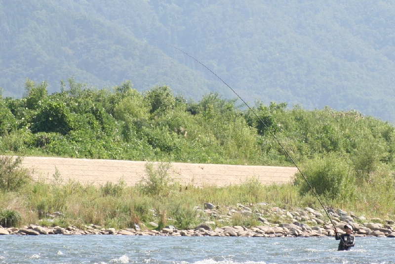 f0103126_20551064.jpg