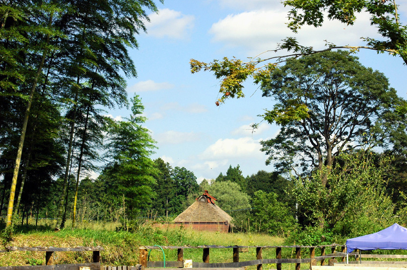 c0192930_9282780.jpg