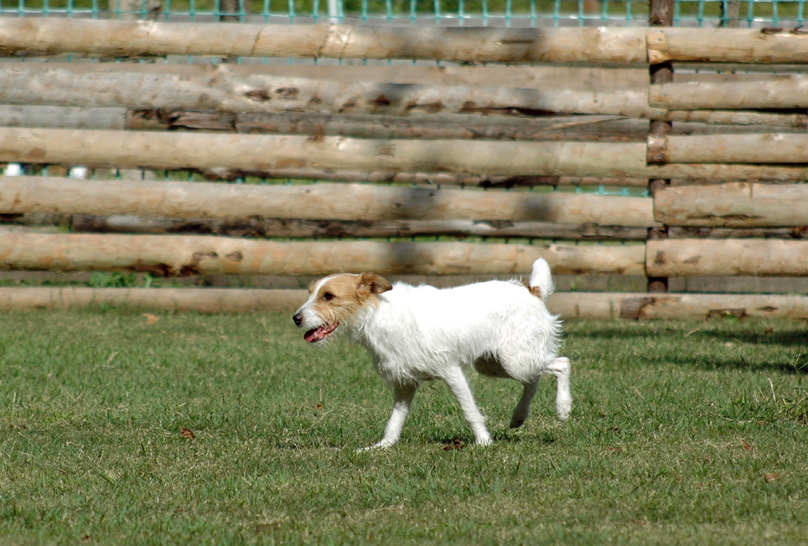 c0192930_932567.jpg