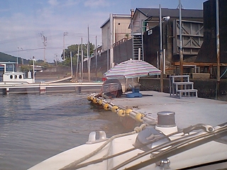 a0132631_1565167.jpg