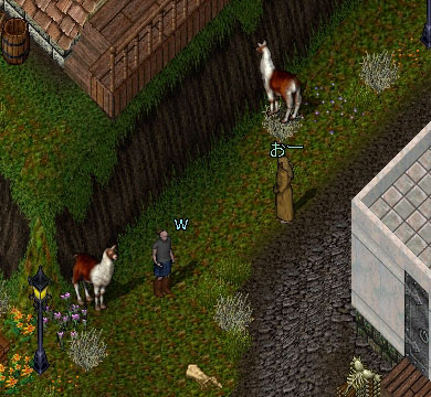 c0184233_029735.jpg