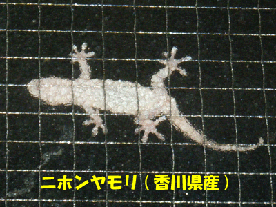 f0008935_423814.gif