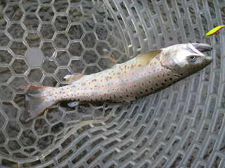 f0065341_2311329.jpg