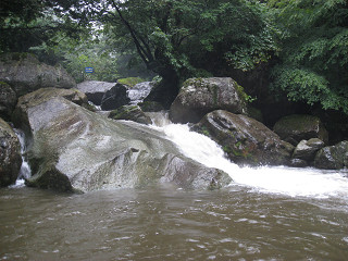 f0065341_2335148.jpg