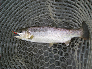 f0065341_235139.jpg