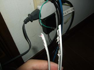 e0185243_201615100.jpg