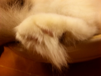 e0069647_23213740.jpg