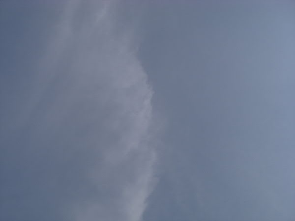 e0017051_2010091.jpg