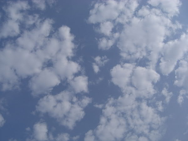e0017051_20101688.jpg