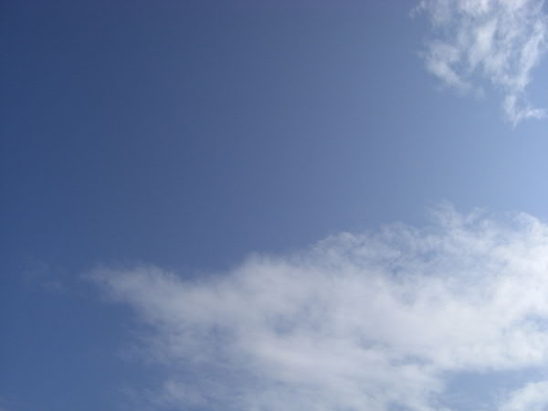 e0017051_20103625.jpg