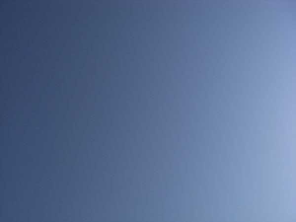 e0017051_2081945.jpg