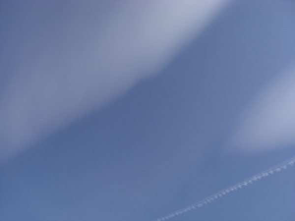 e0017051_2083620.jpg