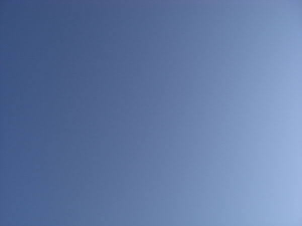 e0017051_2091178.jpg
