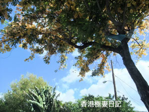 f0190653_16184287.jpg