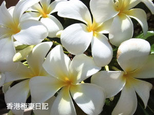 f0190653_1619154.jpg