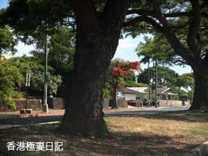 f0190653_16192866.jpg