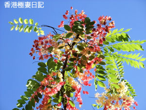 f0190653_16195143.jpg