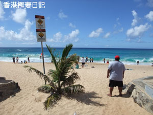 f0190653_22331944.jpg