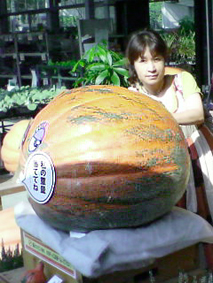 e0196757_1451242.jpg