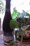 c0200760_2255532.jpg