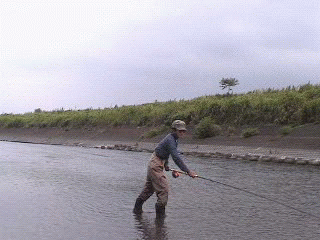 f0084561_13591290.gif