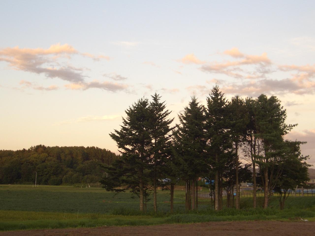 e0133362_15333189.jpg