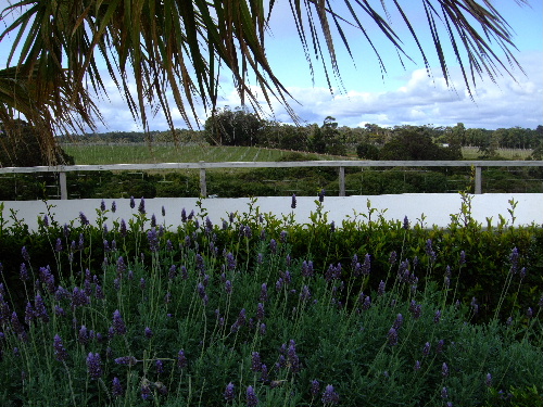 b0085766_01167.jpg