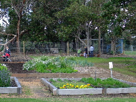 b0085766_232198.jpg