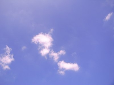 a0000273_1213717.jpg