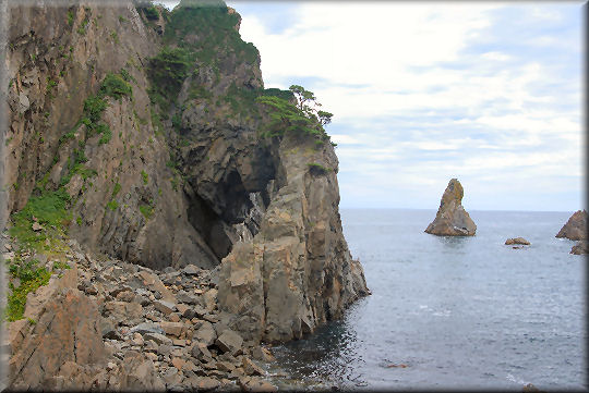 e0099375_1350198.jpg