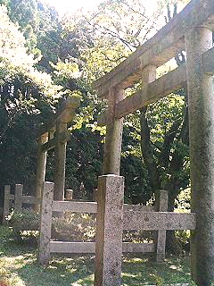 f0054677_881169.jpg