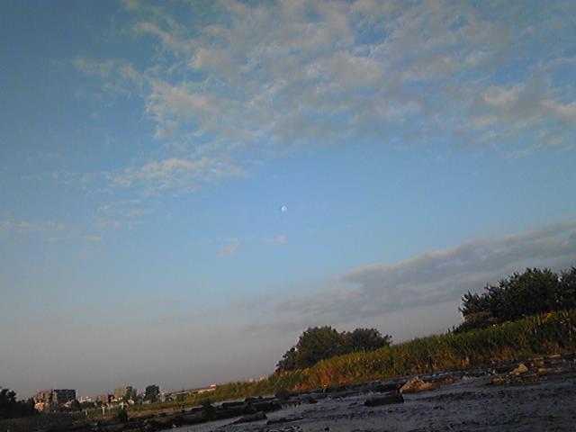 b0145479_1333444.jpg