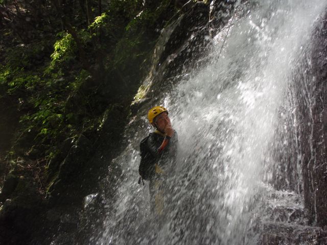d0079579_1552585.jpg