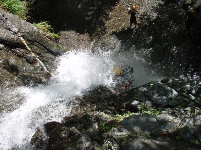 d0079579_1553431.jpg
