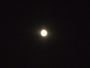 f0005081_9492443.jpg