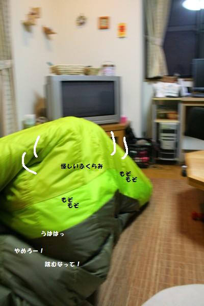 d0152182_21422262.jpg