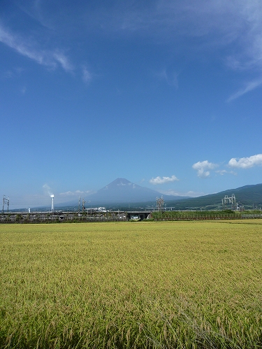 c0160488_18572338.jpg