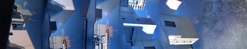 e0148989_20595524.jpg