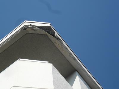 c0123890_20455433.jpg